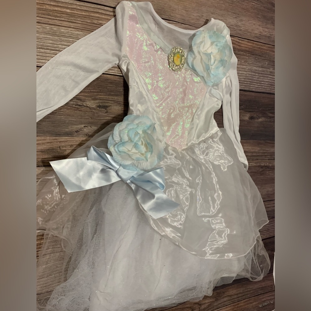 Princess wedding dress costume